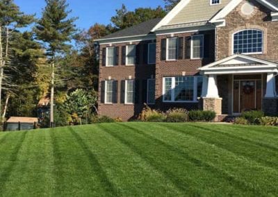 fertilizer lawn mowing lawn installation walpole medfield dover westwood ma