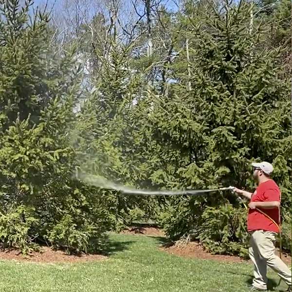 Feature mosquito and tick spraying walpole medfield dover westwood ma 325px