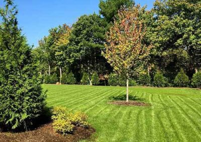 property maintenance walpole dover westwood wellesley needham 36