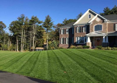 spring fall clean ups walpole medfield westwood dover ma 16