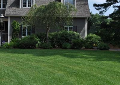 year round lawn mowing services walpole medfield dover westwood ma